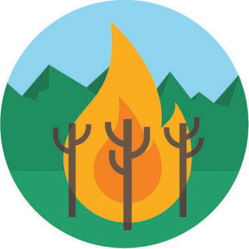 Wildfire Safety Guide